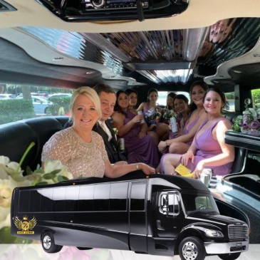 Party-Bus-6.png